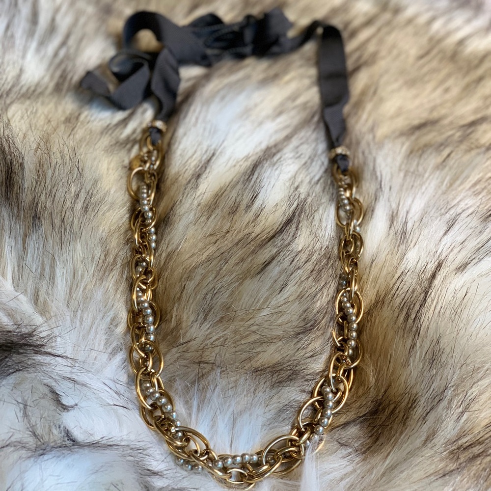 J.Crew Long Gold and Ribbon Necklace